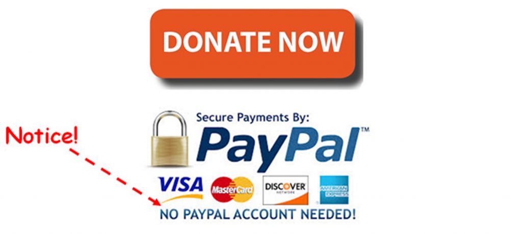 Donate Now Info